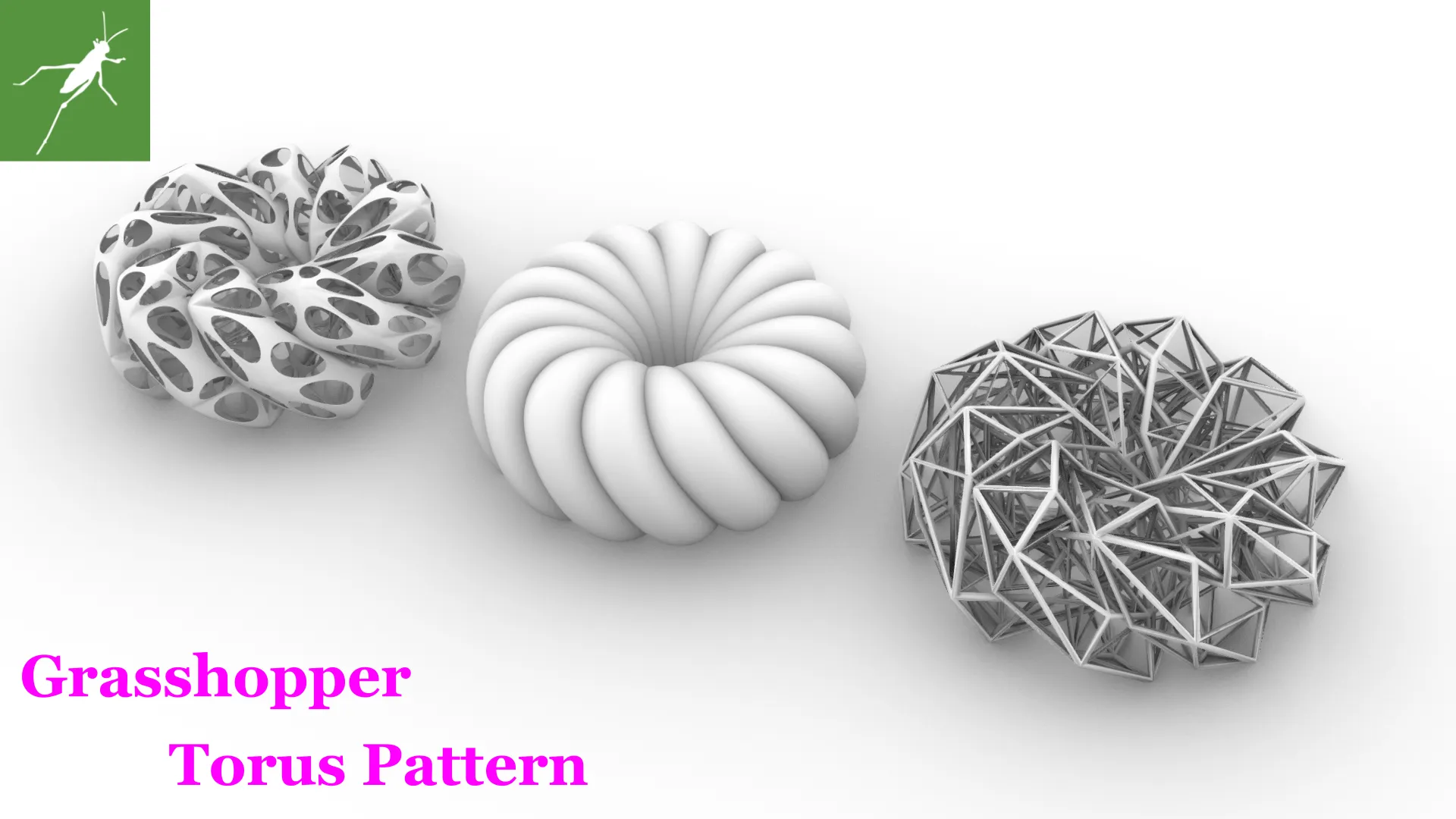 海外ファッションブランド通販サイト【公式】 Grasshopper】 Torus TAMA STUDIO | Pattern スケートボード